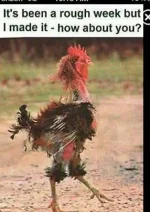 marriage counselor.webp