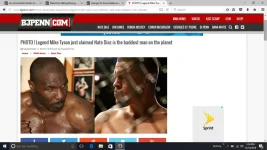 stupid terrorists.webp