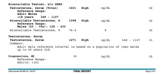 winny v 009.jpg.webp