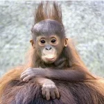 winny v 010.jpg.webp