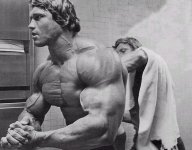Arnold-bodybuilding-picture-2.jpg