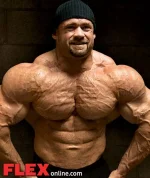 bulldog.webp
