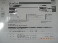 more primo fakes 2.webp