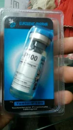 men\'s life before marriage.webp