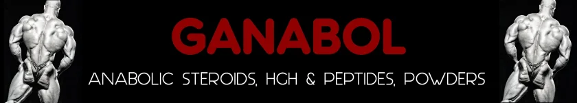 8 point with the bow.webp