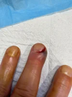 IMG_4305.webp IMG_4305.webp