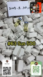 Sus500.webp