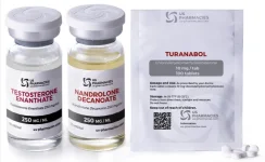 Bulk-Gainz-Size-.webp Bulk-Gainz-Size-.webp