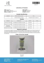 sus 500 16.04_page-0001.webp