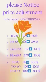 粉金色简约渐变背景西式英文手机海报.webp