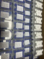47e94b57-6401-40b2-a6f7-414e2cf0beaa_8C76383A-246F-44B3-9D28-A38379BD645C.webp 47e94b57-6401-40b2-a6f7-414e2cf0beaa_8C76383A-246F-44B3-9D28-A38379BD645C.webp