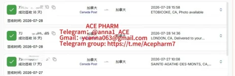 81b1b009-dc8b-45db-9c56-f5eeb26f0efb.webp 81b1b009-dc8b-45db-9c56-f5eeb26f0efb.webp