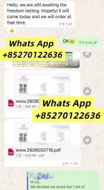 1786440541459.webp 1786440541459.webp