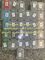 6d0dfe7c-c107-4dc2-be34-32b1e9a21836.webp