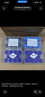 9.07.webp