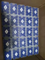 IMG_2031.webp IMG_2031.webp