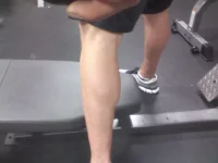 aug 14 calves.webp aug 14 calves.webp