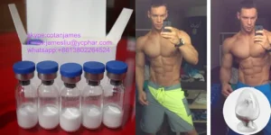 rockiemarch152003 048a.webp