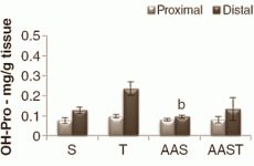 anabolicsteroidstendons.gif anabolicsteroidstendons.gif