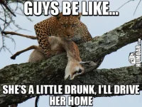 guys-be-like-shes-a-little-drunk-ill-drive-her-home.webp