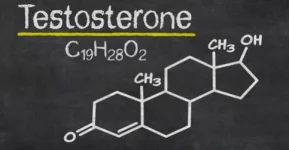 testosterone.webp