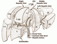 uploadfromtaptalk1435715524813.gif uploadfromtaptalk1435715524813.gif