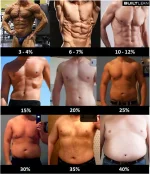 body-fat-percentage-men_zps3f03851c.webp