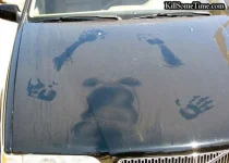 Dirty-Car.webp
