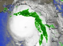 Hurricane Micahael.webp