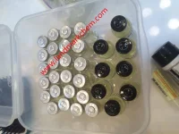 melooking large.webp