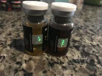 anna i met in houston.webp