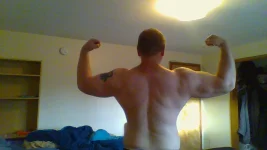 cappo standing on sofa 1.webp