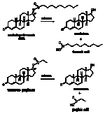 n.10.15.gif n.10.15.gif