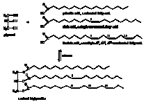 n.10.13.gif n.10.13.gif