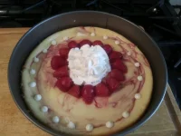 4 weeks out 005.webp