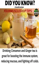 16854589131659194 (2).webp