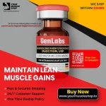 Maintain Lean Muscle Gains.webp