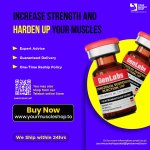 Increase Strength and Harden Up Your Muscles.jpeg