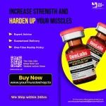 Increase Strength and Harden Up Your Muscles.webp