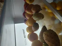 posted pic 2.webp