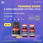 Trimming Down – 8 Weeks Beginner Cutting Cycle.jpg