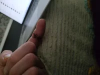 IMG_20231106_144101628_HDR.webp IMG_20231106_144101628_HDR.webp