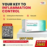 WhatsApp Image 2024-04-21 at 2.31.47 AM.webp