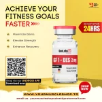 WhatsApp Image 2024-04-30 at 7.27.08 PM.webp