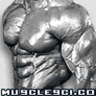 Budlite74