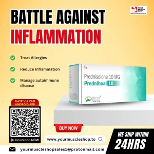 WhatsApp Image 2024-04-28 at 2.20.27 AM.jpeg