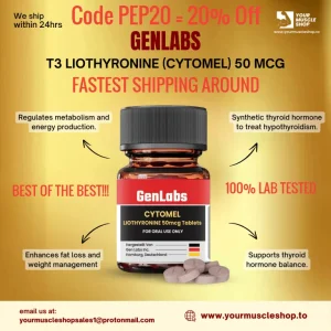 172340129032383504 (1).png