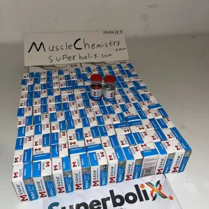 IMAGE 2025-01-10 15:39:27.webp