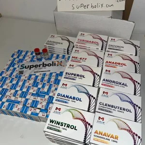 IMAGE 2025-01-10 15:39:33.webp