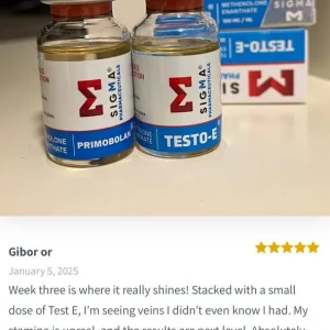 IMAGE 2025-01-10 16:49:30.webp